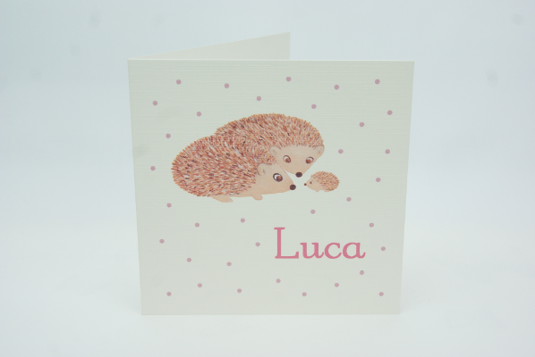 geboortekaartje luca lichtroze